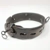 19th Century European Dog Collar Lock and Key
