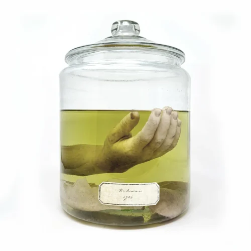 PFX003 'Hero' Prop American Gods Human Hand Wet Specimen