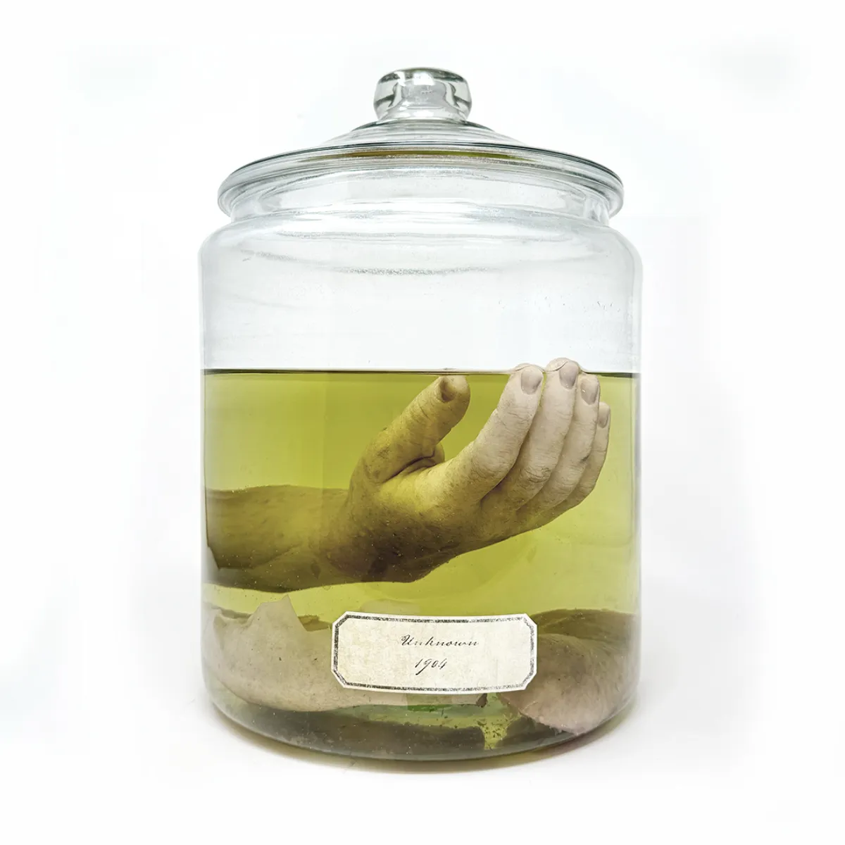 PFX003 'Hero' Prop American Gods Human Hand Wet Specimen