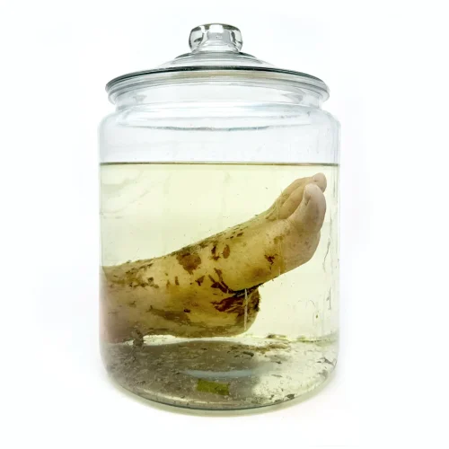 PFX004 'Hero' Prop American Gods Human Foot Wet Specimen