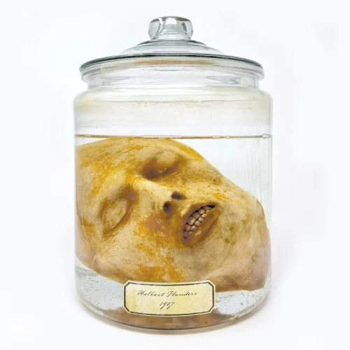 PFX005-scaled 'Hero' Prop American Gods Human Head Wet Specimen