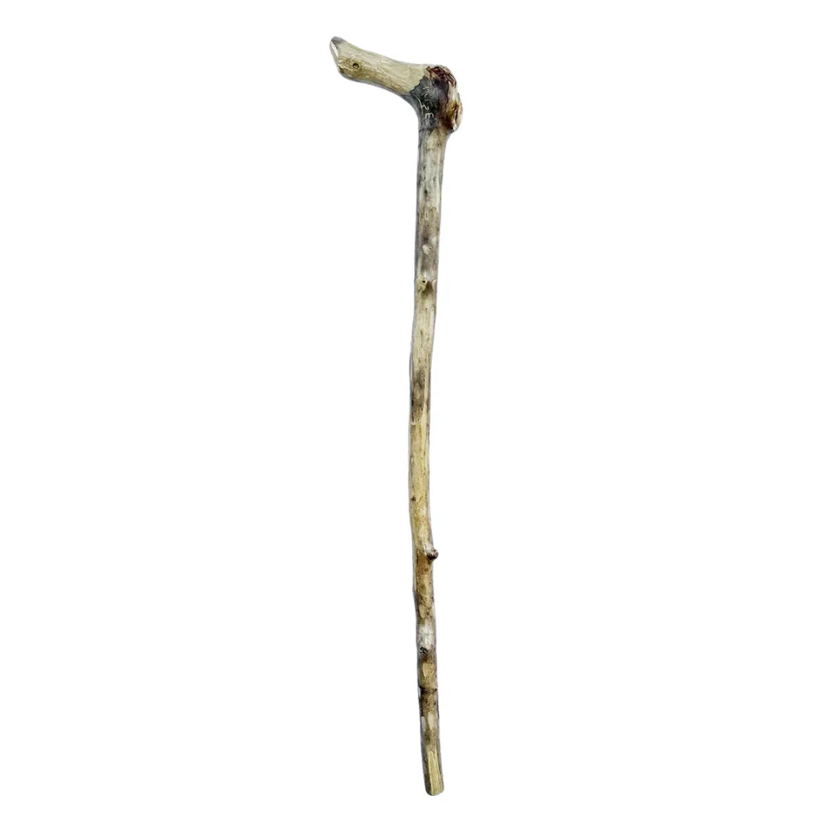 TC0481 Canadian Murderer and Doomsday Cult Leader Moïse & The Ant Hill Kids Signed Carved Walking Stick Notorious
