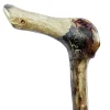 TC0482 Canadian Murderer and Doomsday Cult Leader Moïse & The Ant Hill Kids Signed Carved Walking Stick Notorious