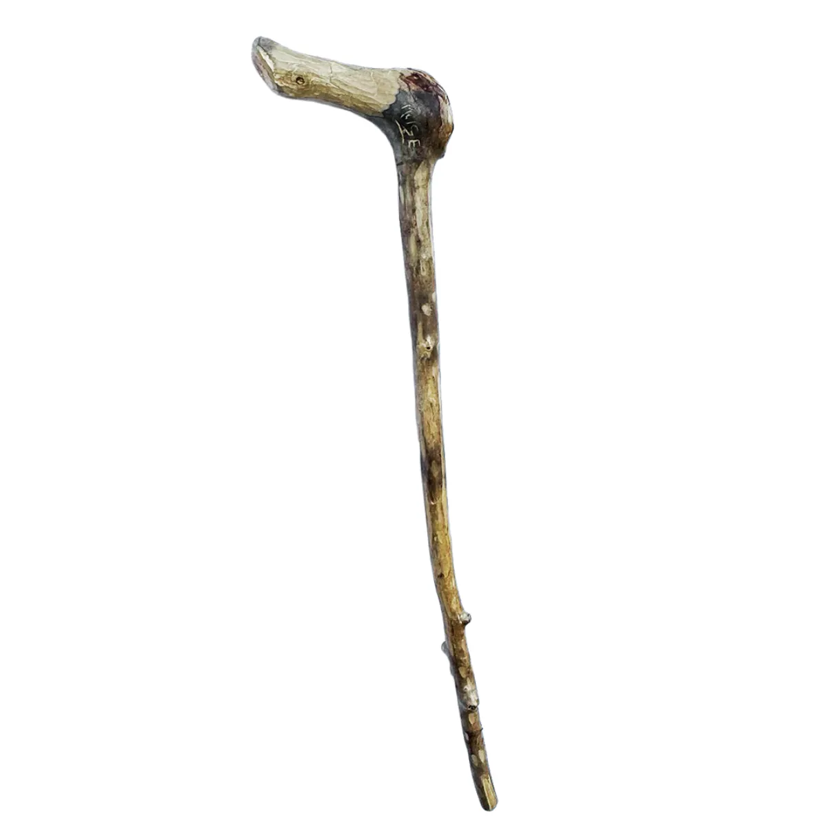 TC0485 Canadian Murderer and Doomsday Cult Leader Moïse & The Ant Hill Kids Signed Carved Walking Stick Notorious