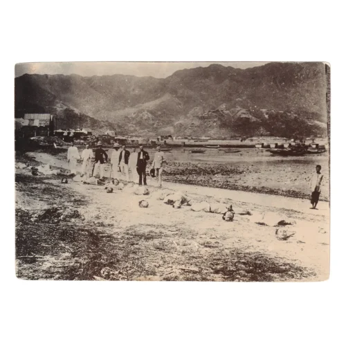 TC0501 1891 Pirates Executed at Kowloon Original Photo