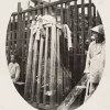 19th Century Chinese Torture Cage Execution by Hanging Original Photo