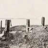 19th Century Chinese Execution Original Photo