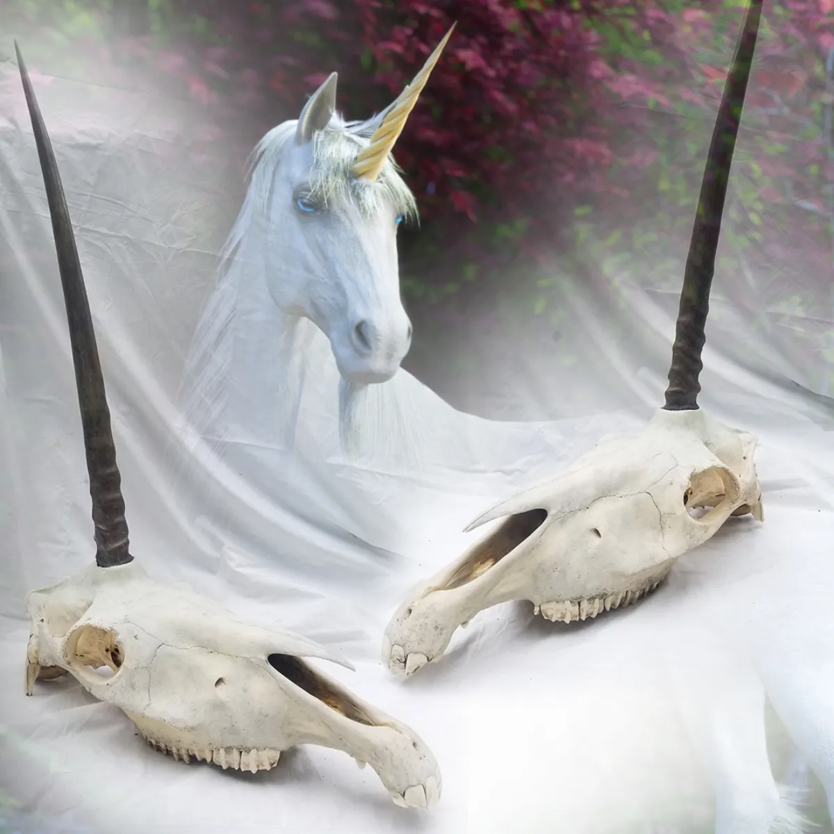 Unicorn- The Legendary Unicorn Skull
