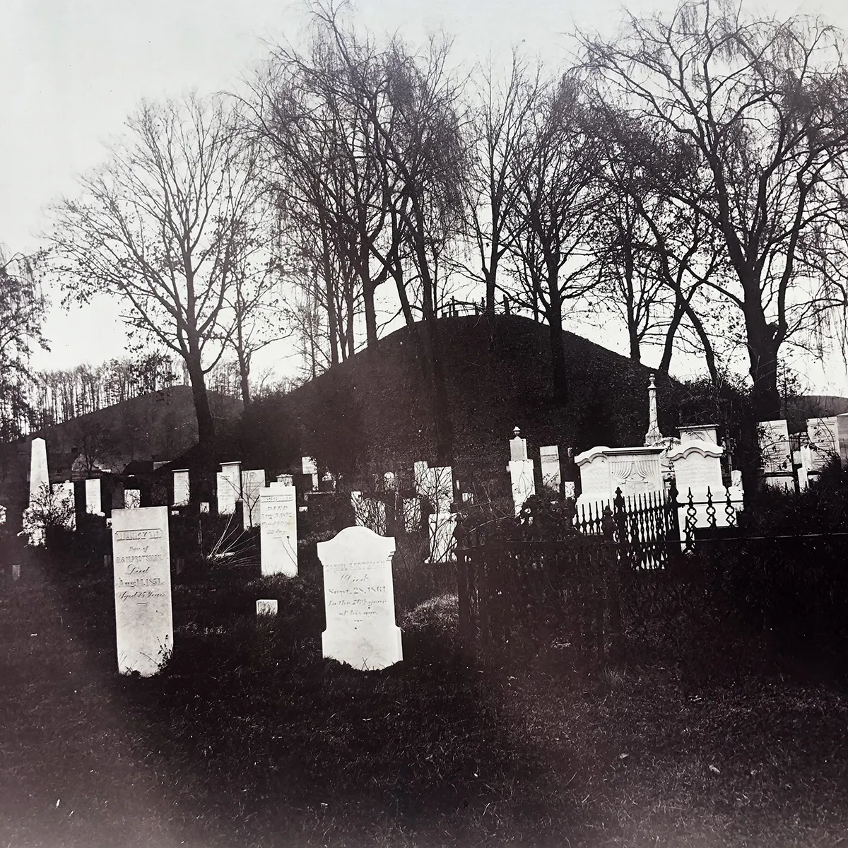 Large Format 19th Century Washington County Cemetery
