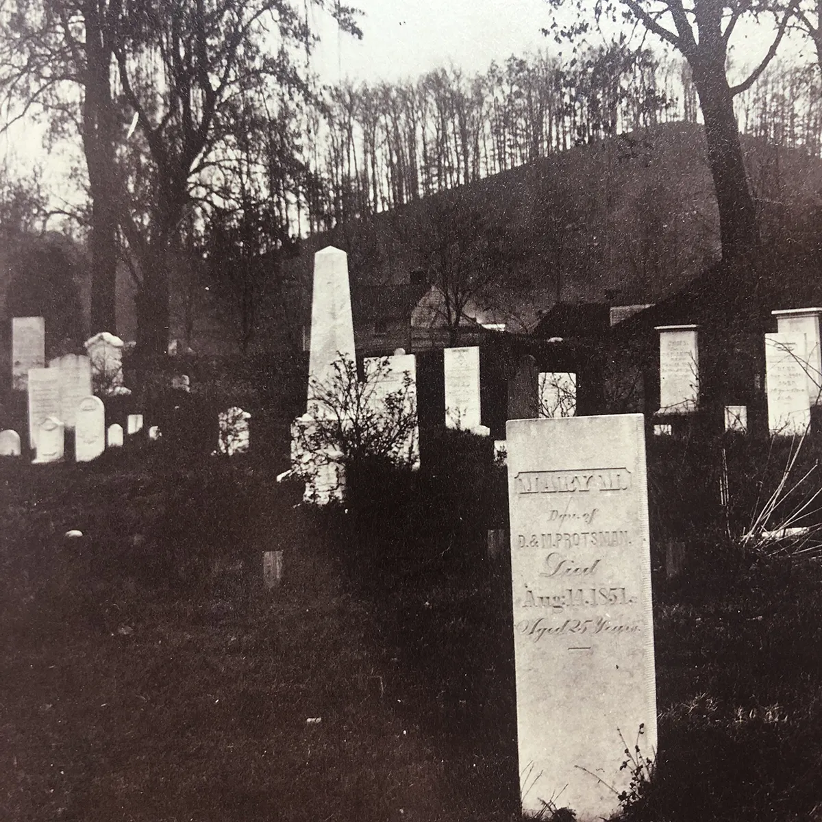 Large Format 19th Century Washington County Cemetery