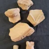 WT011-A Pre-Columbian Pottery Artifact and Shards